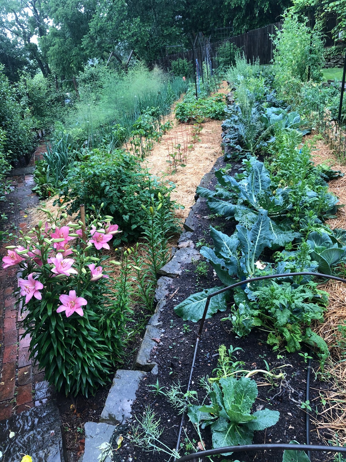 WCMGA Mini Meeting - David Allard - Vegetable Gardening
