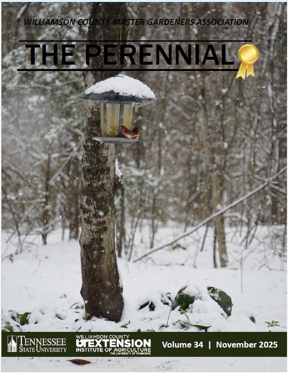 2025 November Perennial