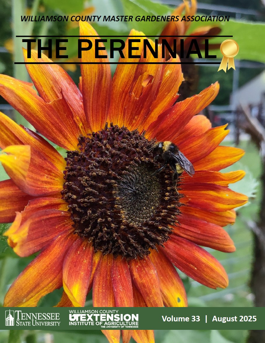 2025 August Perennial