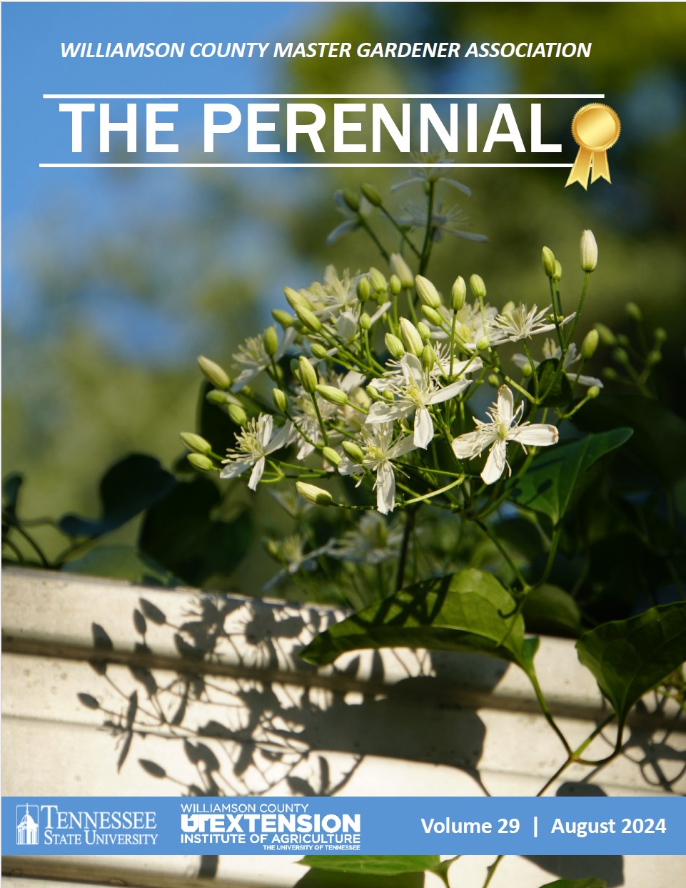 2024 August Perennial