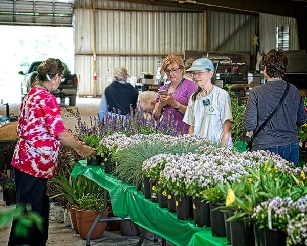 Garden Festival and Plant Sale