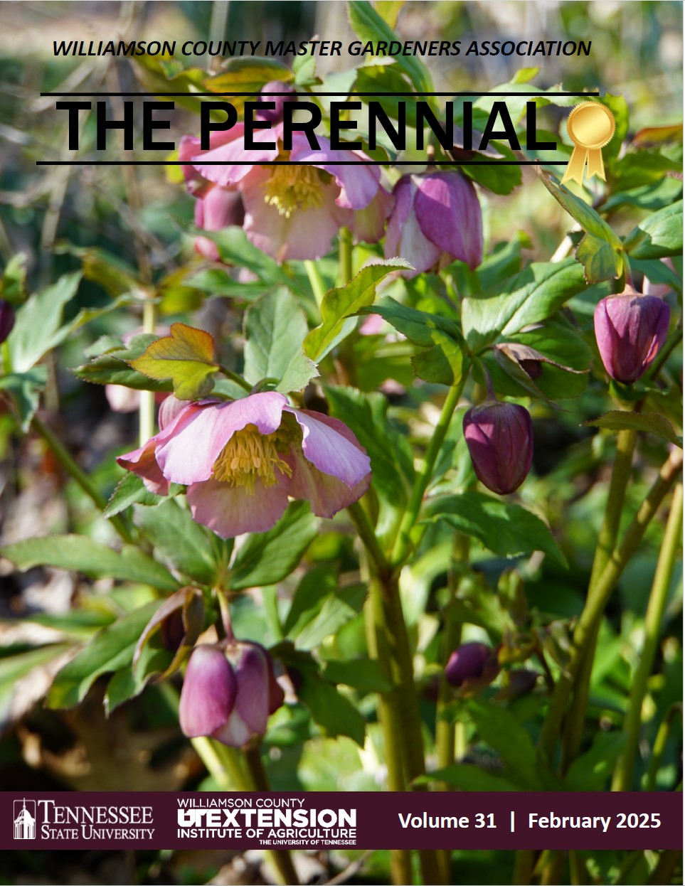 2025 February Perennial