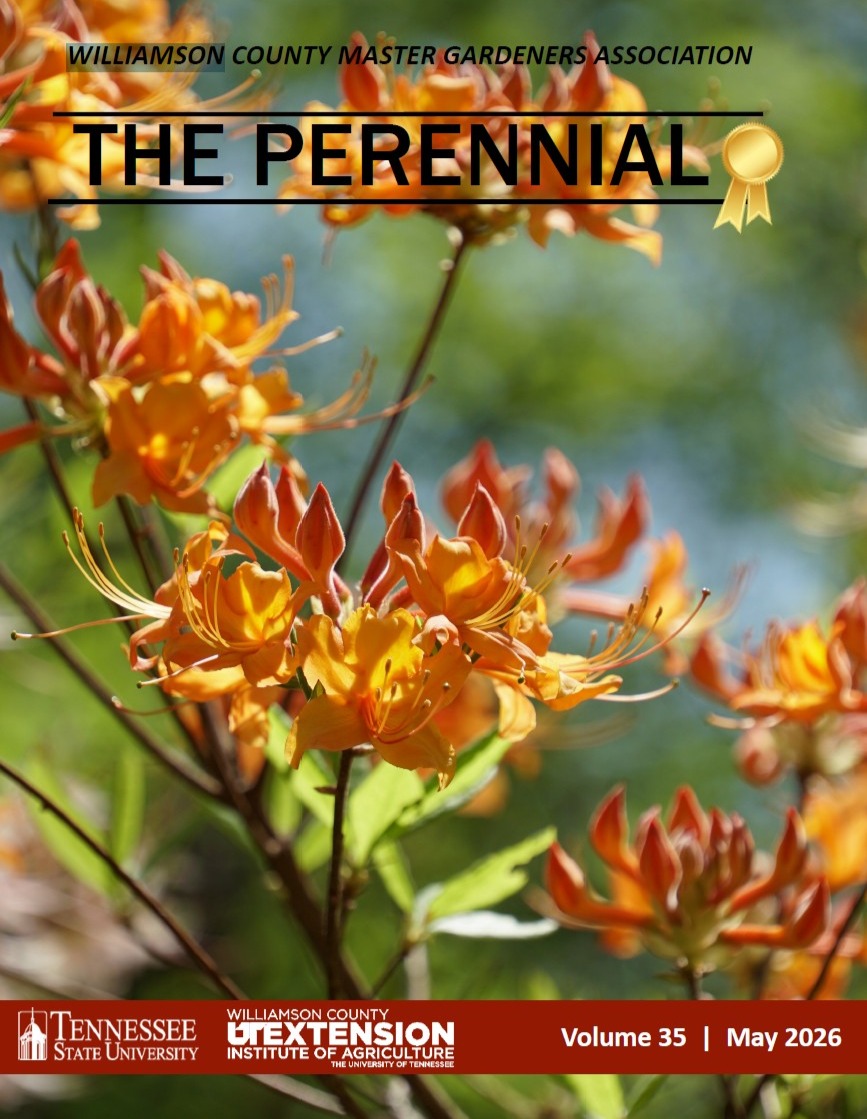 2026 May Perennial