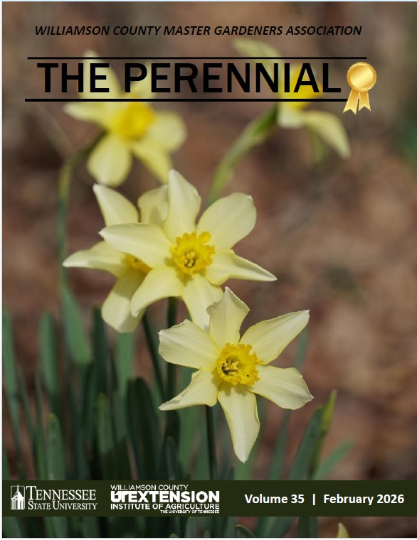 2026 February Perennial